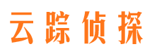 梅里斯侦探